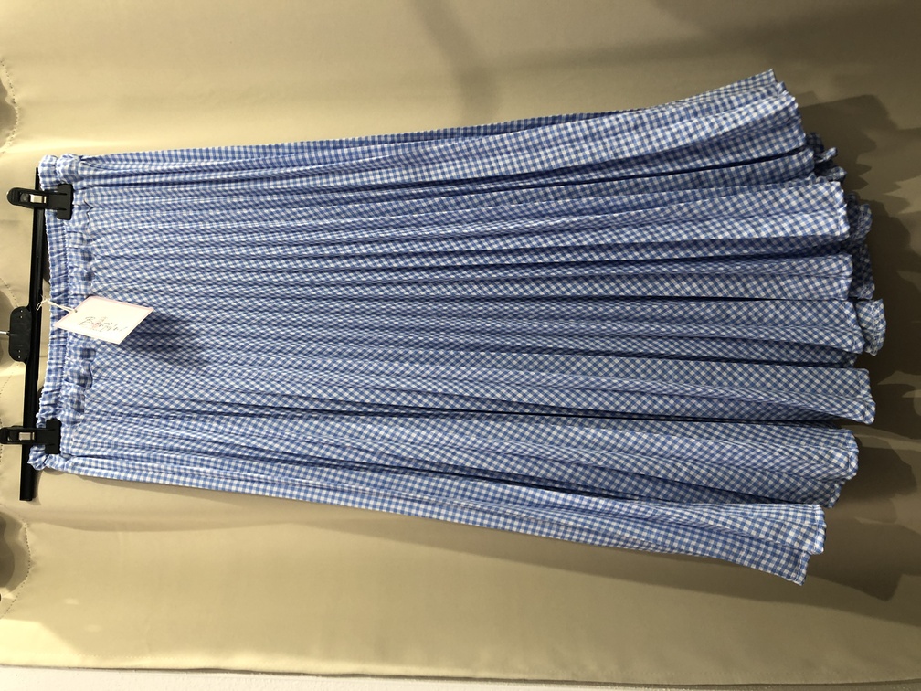 Falda plisada de cuadros Vichy azul. Talla unica. Precio 25E